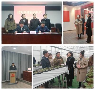 结对共建聚合力 主题党日促提升